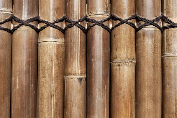 Bambusové Kmeny Plot Pozadí Vzor Close — Stock fotografie