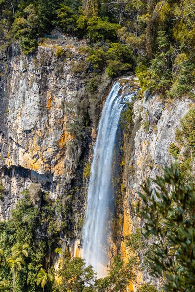 าตกสายร าตกท สวยงามในอ ทยานแห งชาต Springbrook แลนด ออสเตรเล — ภาพถ่ายสต็อก