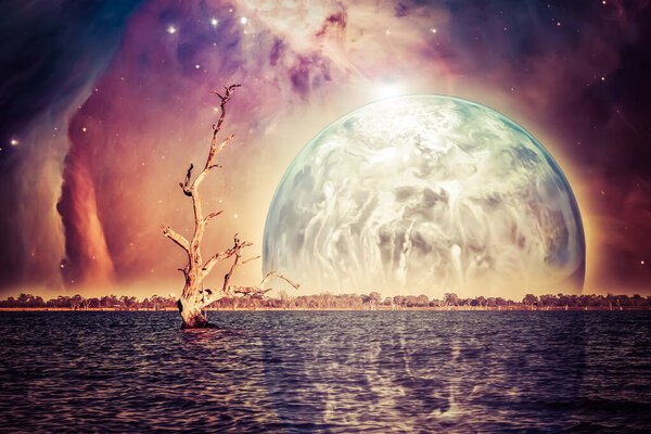 Alien landscape - bare tree trunk in sea with rising planet reflecting in the water. Elements of this image are furnished by NASA