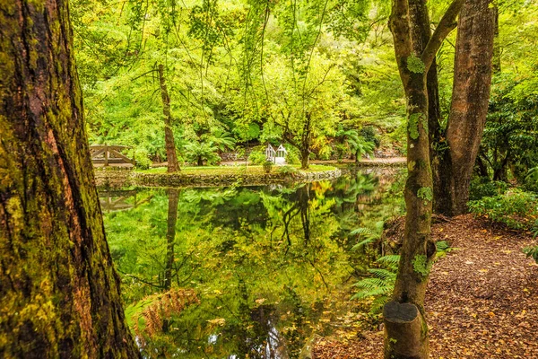 Melbourne Apr 2016 Alfred Nicholas Memorial Gardens Beautiful Lake Trees — стоковое фото