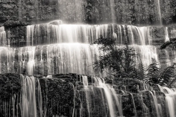 Terkenal Russell Falls Closeup Dalam Hitam Dan Putih Taman Nasional — Stok Foto