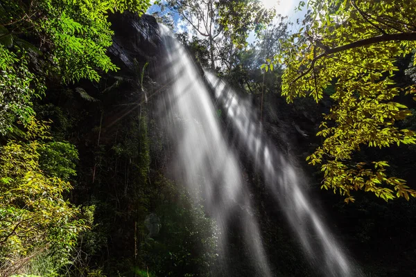 Krásné Paprsky Světla Vyčnívající Vysokého Vodopádu Bujné Vegetace Deštném Pralese — Stock fotografie