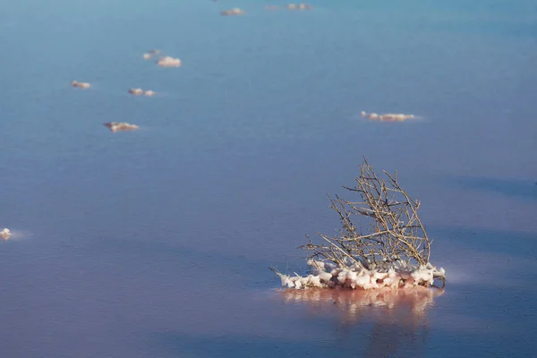 Debree Mit Kristallinem Salz Das Auf Einer Oberfläche Des Salzsees — Stockfoto