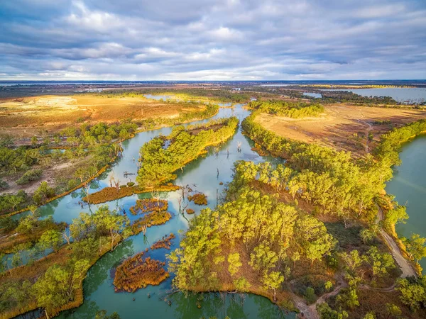 Liten Del Murray River Bland Inhemska Australiska Vegetation Vid Solnedgången — Stockfoto