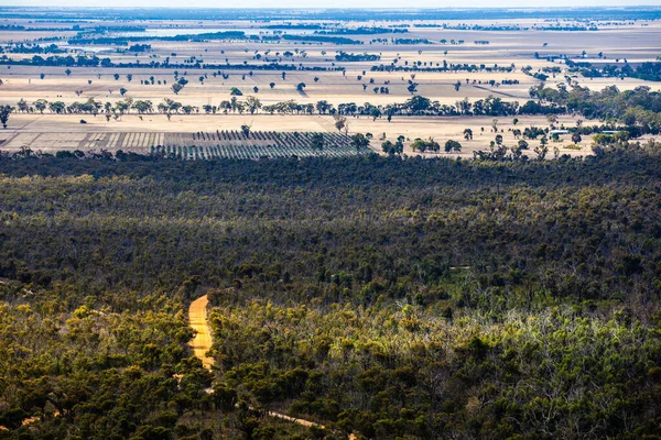 Dirt road passing through native forest in Grampians National Park, Australia