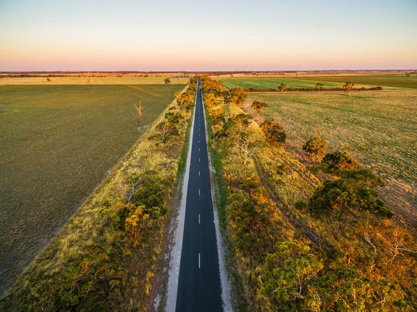 Long straight road in rural area among green fields and pastures at sunset - aerial view