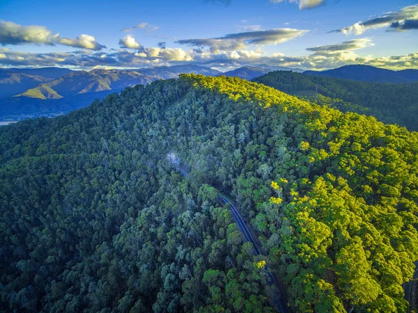 Pemandangan Udara Dari Jalan Pedesaan Yang Berkelok Kelok Melalui Hutan — Stok Foto