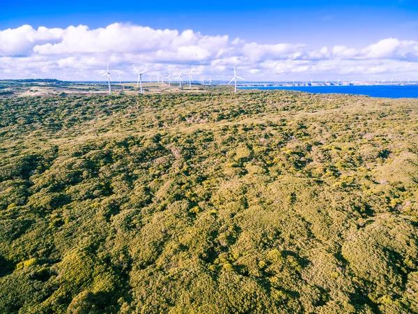 Aerial View Australian Countryside Wind Farm Distance Bright Summer Day — Stock Photo, Image