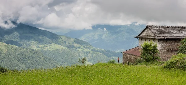 Osamělý Chlapec Stojící Poblíž Své Chatrče Mezi Rýžovými Poli Kathmandu — Stock fotografie