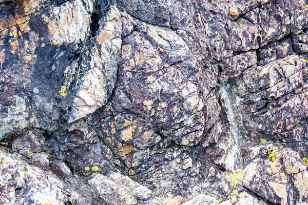 Örtüler için güzel aşınmış kıyı taşı deseni