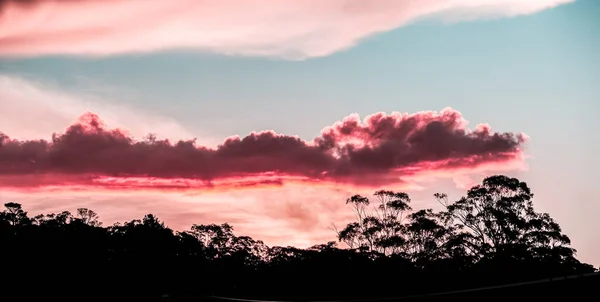 Brilhante Pôr Sol Sobre Gengivas Nsw Austrália — Fotografia de Stock