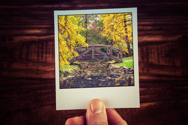 Hand holding instant photo of autumn scene in Australian garden - beautiful wooden bridge over creek with copy space. Travel memories of good old times