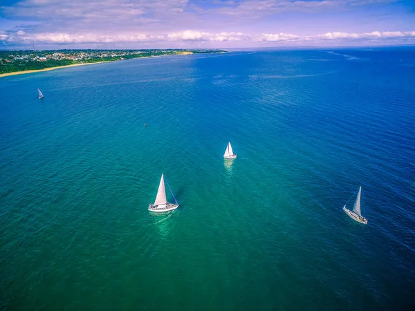 Aerial seascape of sailboats sailing in ocean near coastline