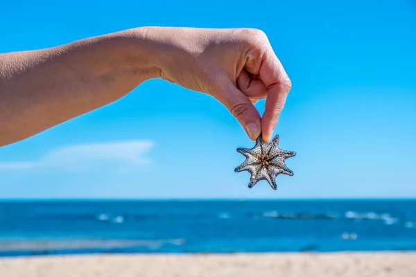 Hand Holding Small Starfish Ocean Beach Bright Sunlight Shallow Depth — Stock Photo, Image