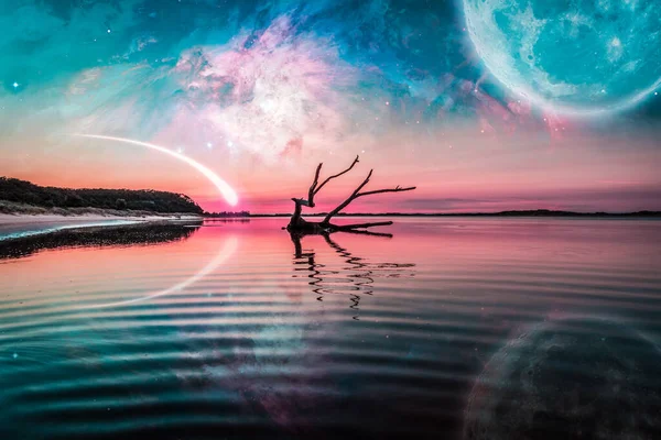 Fantasy Landscape Driftwood Reflecting Water Huge Planet Sky Galaxy Comet — Stock Photo, Image