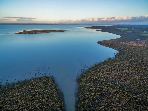 Flygfoto Mangroveträsk Som Växer Nära Havskusten Skymningen Melbourne Australien — Stockfoto