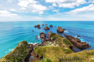 Nugget Point 'teki kayalar, Güney Adası, Yeni Zelanda.