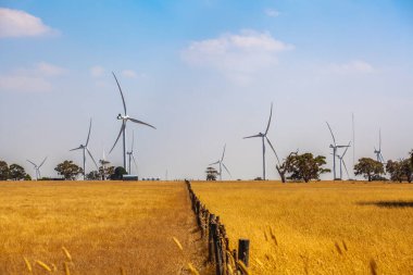 Avustralya 'nın taşrasında, ufukta rüzgar türbinlerine giden eski bir çit.