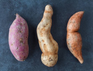 Grunge yüzeyinde üç çeşit tatlı patates. Üst görünüm.