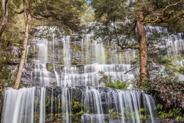 Meşhur Russell Falls yakın plan. Mount Field Ulusal Parkı, Tazmanya, Avustralya