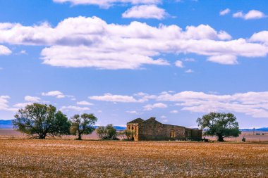 Güney Avustralya 'da ağaçlar arasında eski bina kalıntıları