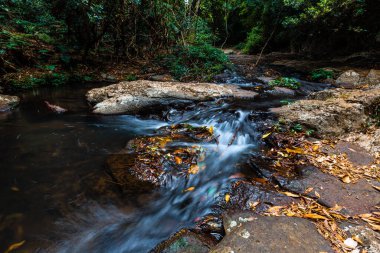 Lamington Ulusal Parkı, QLD, Avustralya 'daki Morans Creek' te küçük bir şelale.