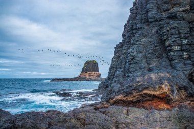 Cape Schanck, Avustralya 'da minber rock
