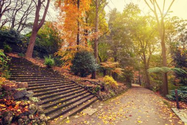 Uzun merdivenleri ve patikası olan sonbahar manzarası. Alfred Nicholas Gardens, Avustralya