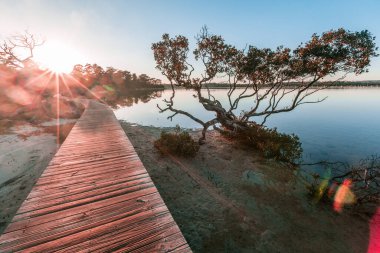 Sunset at the Merimbula Lake Boardwalk, Victoria, Australia. clipart