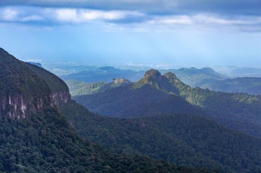 Springbrook Ulusal Parkı, Queensland, Avustralya 'daki Manzaralı Tepeler ve Kayalıklar