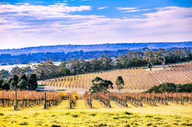 Winery in autumn on Mornington Peninsula, Victoria, Australia clipart