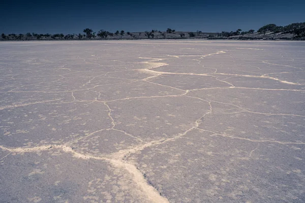 ปแบบรอยแตกเกล อบนพ วทะเลสาบในออสเตรเล — ภาพถ่ายสต็อก