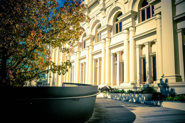 Kilda Town Hall Prachtige Gele Boom Groeien Buurt Herfst Melbourne — Stockfoto