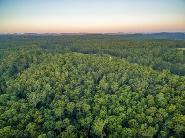 Vista Aérea Floresta Colinas Nativas Australianas Entardecer — Fotografia de Stock