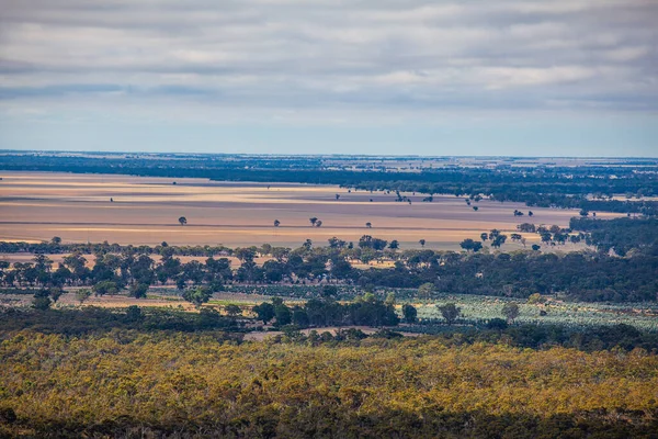 Żółte Grunty Rolne Australijskich Pustkowiach — Zdjęcie stockowe