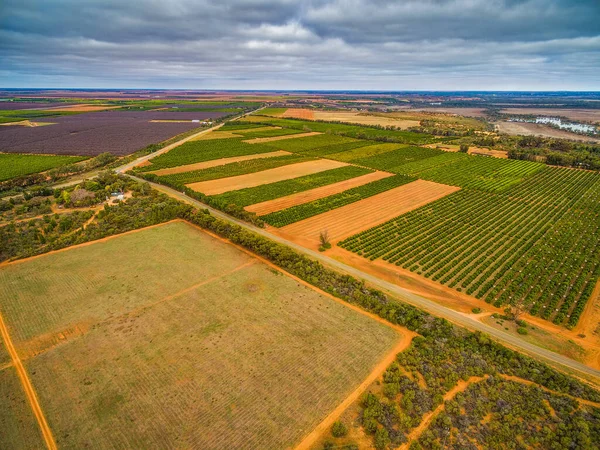 Vista Aérea Los Campos Agrícolas Murtho Riverland Australia — Foto de Stock
