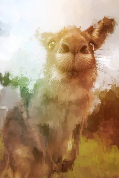 Extremo Close Canguru Olhando Através Vitrais Fazendo Pato Arte — Fotografia de Stock