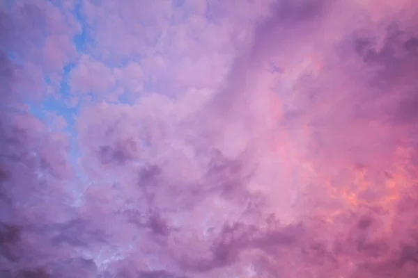 Olhando Para Nuvens Roxas Pôr Sol — Fotografia de Stock
