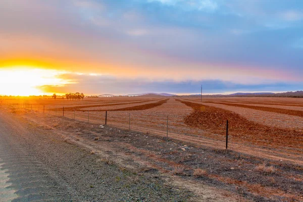 Membajak Tanah Merah Saat Matahari Terbit Australia Selatan — Stok Foto