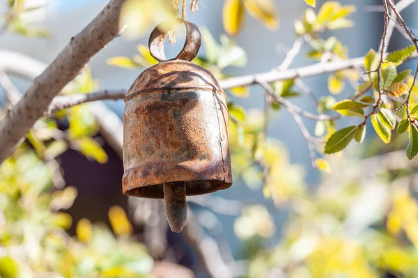 Μεταλλικό Σκουριασμένο Κουδούνι Κρέμεται Από Κλαδί Δέντρου Θολή Φόντο Έννοια — Φωτογραφία Αρχείου