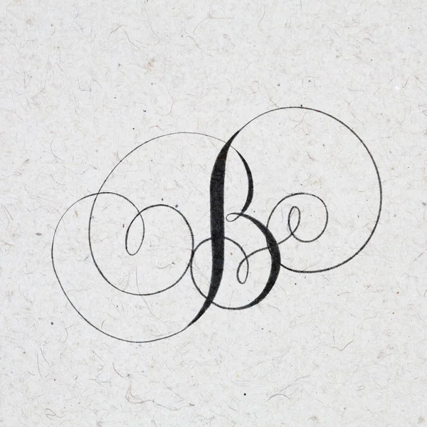 Beautiful calligraphy letter B with flourishes on kraft paper