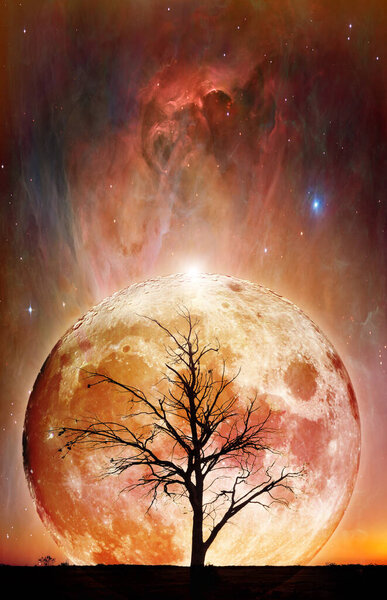 Fantasy book cover template - Lonely bare tree silhouette with huge planet rising behind it and galaxy in the sky. Elements of this image are furnished by NASA