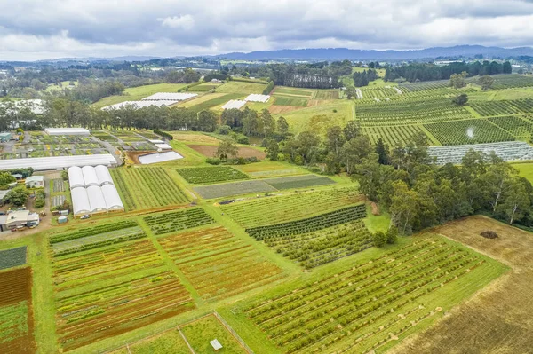 Flygfoto Över Fält Australisk Landsbygd — Stockfoto