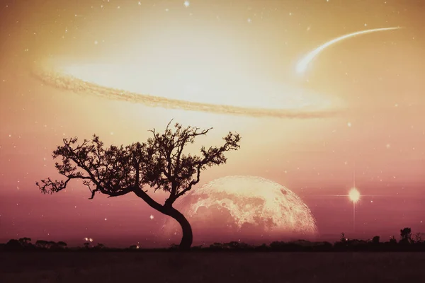 Unreal landscape of lone tree silhouette with planet and galaxy visible in vivid orange sky. Elements of this image are furnished by NASA