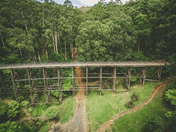 Vista Aérea Antiga Ponte Cavalete Entre Samambaias Eucaliptos Austrália — Fotografia de Stock