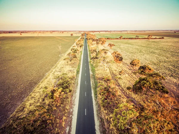 Longue Route Droite Zone Rurale Entre Champs Verdoyants Pâturages Coucher — Photo