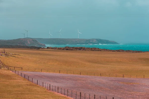 Сільськогосподарські Поля Вітрові Турбіни Концепція Екології Чистої Енергії — стокове фото