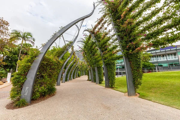 South Bank parkındaki güzel yeşillikler arasında yürüyüş yolu. Brisbane, Queensland, Avustralya