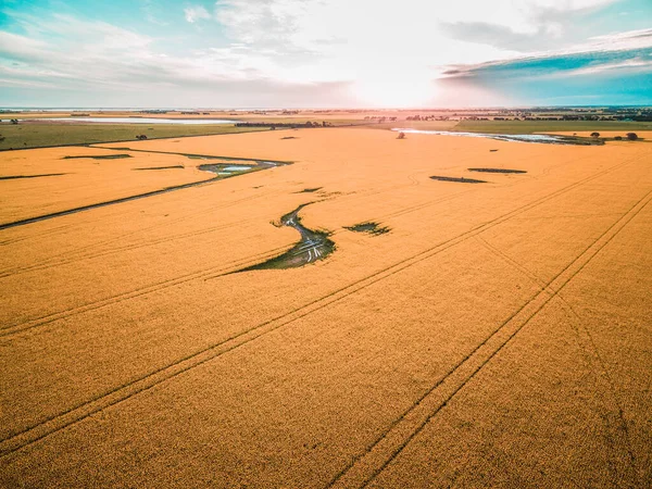 Pemandangan Udara Dari Ladang Pertanian Saat Matahari Terbenam — Stok Foto