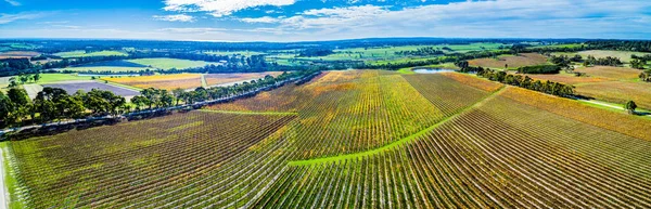 Scenic Luchtfoto Panorama Van Grote Wijngaard Herfst Mornington Peninsula Melbourne — Stockfoto